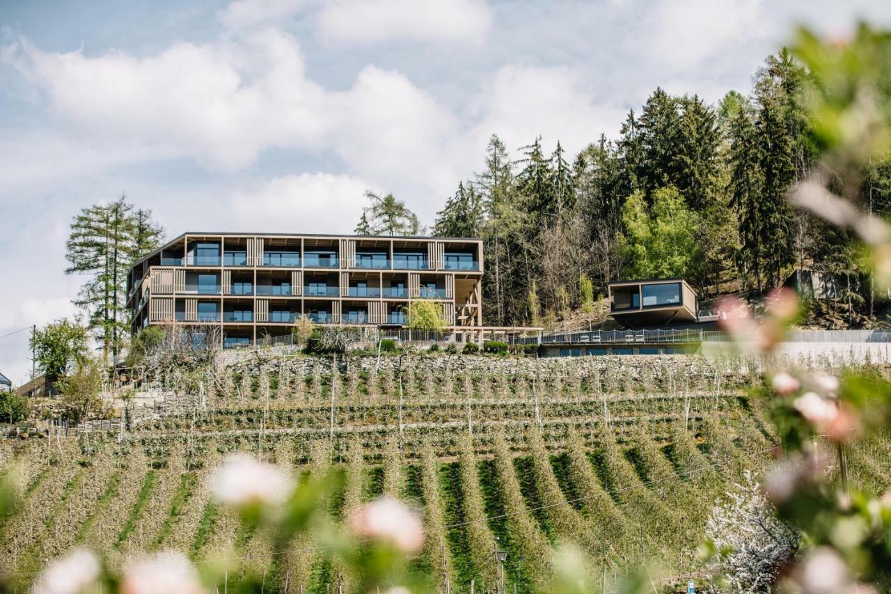 Panoramic Suites Winzerhoehe 첸나 외부 사진